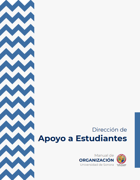 Manual de Organización DAE 2025-2